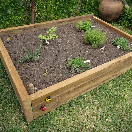 Casa Do Ti Mauricio *